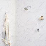 Caroma Liano Nexus Multifunction Fixed Shower Chrome