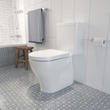 Luna Cleanflush® Close Coupled Toilet Suite - S Trap, Back Entry